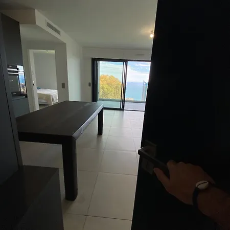 Daire Luxury Sea-view Over Monaco